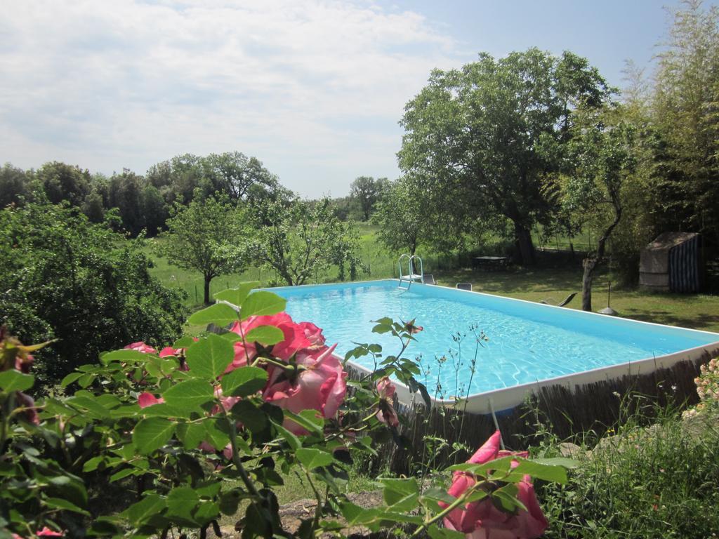 Apartament La Locaia Siena Zewnętrze zdjęcie